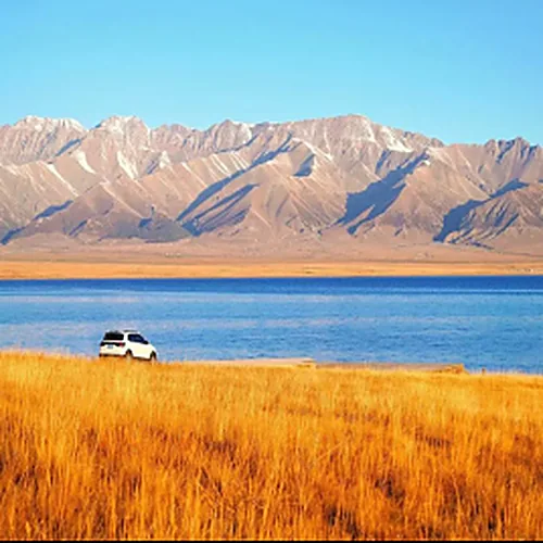 Lakeshore meadow at Sayram