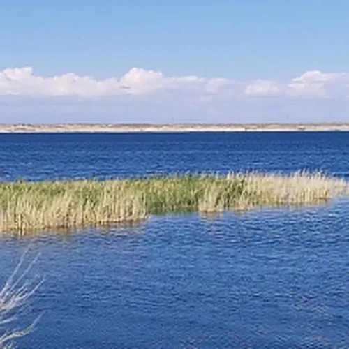 Ulungur Lake shoreline