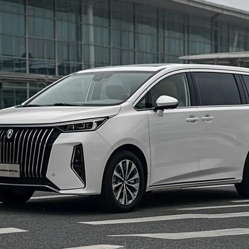 Private 7-seater MPV