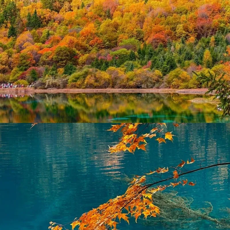 Autumn colours mirrored in a Jiuzhaigou lake