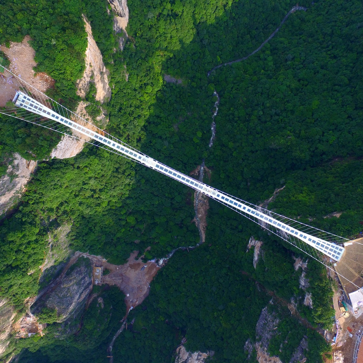 Glass Bridge, Zhangjiajie Grand Canyon