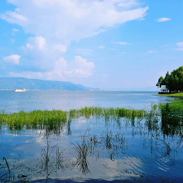 Haishe Wetland Park