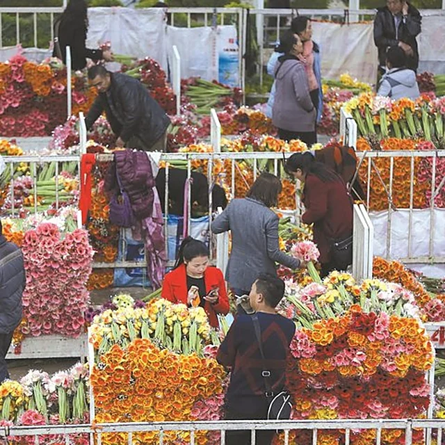 Dounan Flower Market